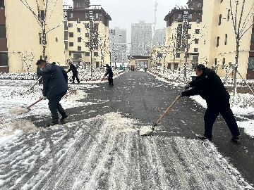 【長田動態(tài)】初雪至，暖意行！長田實業(yè)全力清雪保安全暢通